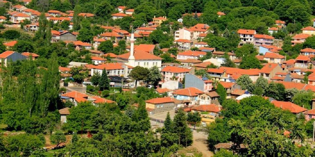 Kışın beyaza yazın yeşile bürünüyor! Herkes Alpler sanıyor ama Ege’de: Bu rota gideni hayran bırakıyor 3